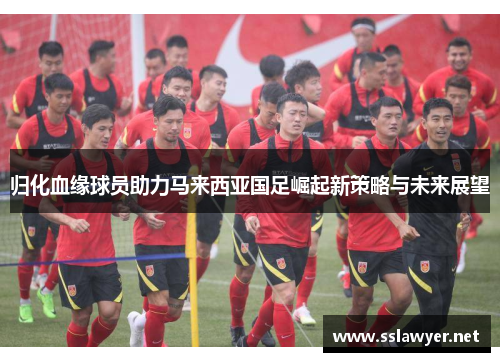归化血缘球员助力马来西亚国足崛起新策略与未来展望 归化血缘球员助力马来西亚国足崛起新策略与未来展望